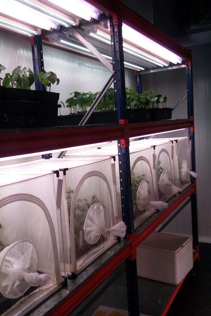 estanteria para plantas